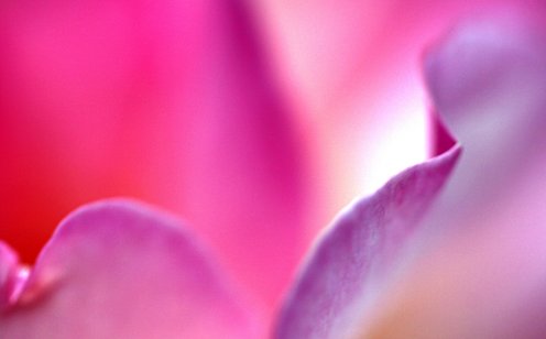 iStock-479721806