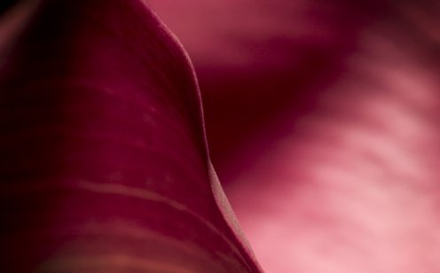 iStock-93161965